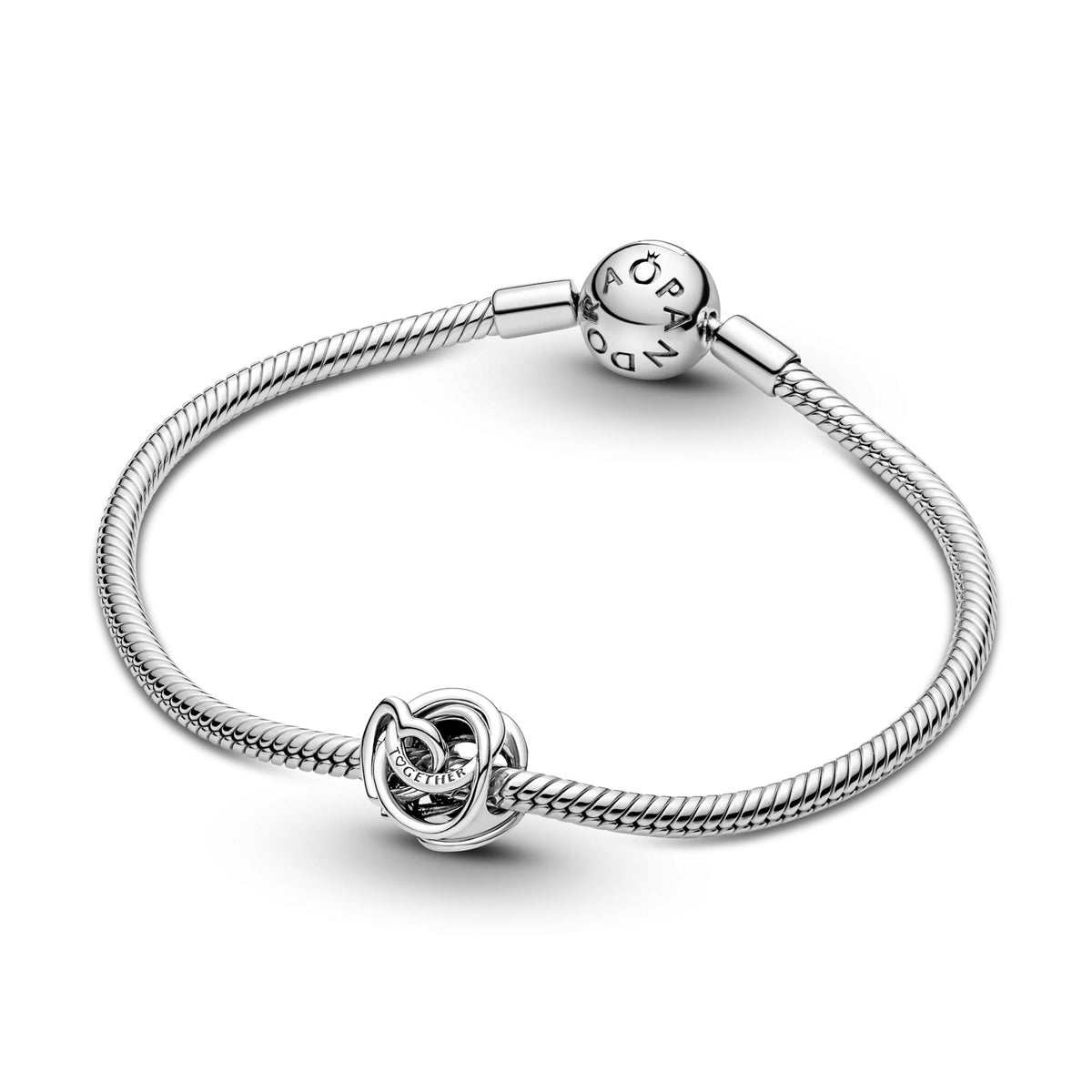Pandora Moments Charm Cœur et Cercles Ma Famille Pour Toujours 791507C00