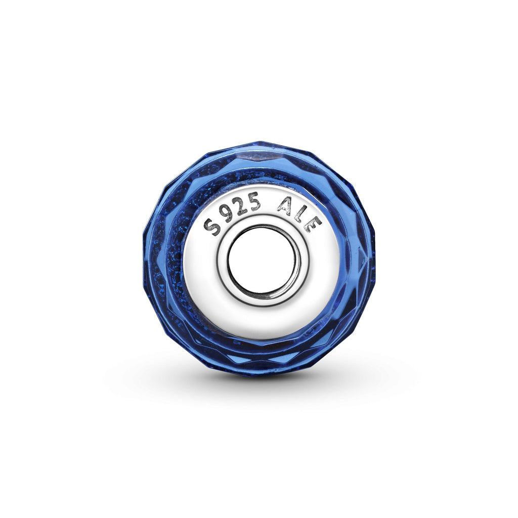 Pandora Moments Charm 791646