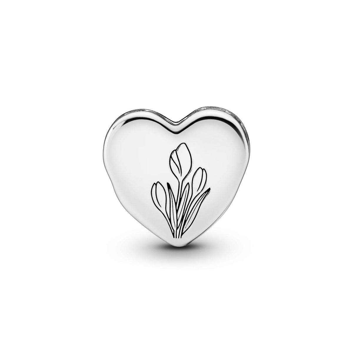 Pandora Moments Charm 792015_E041