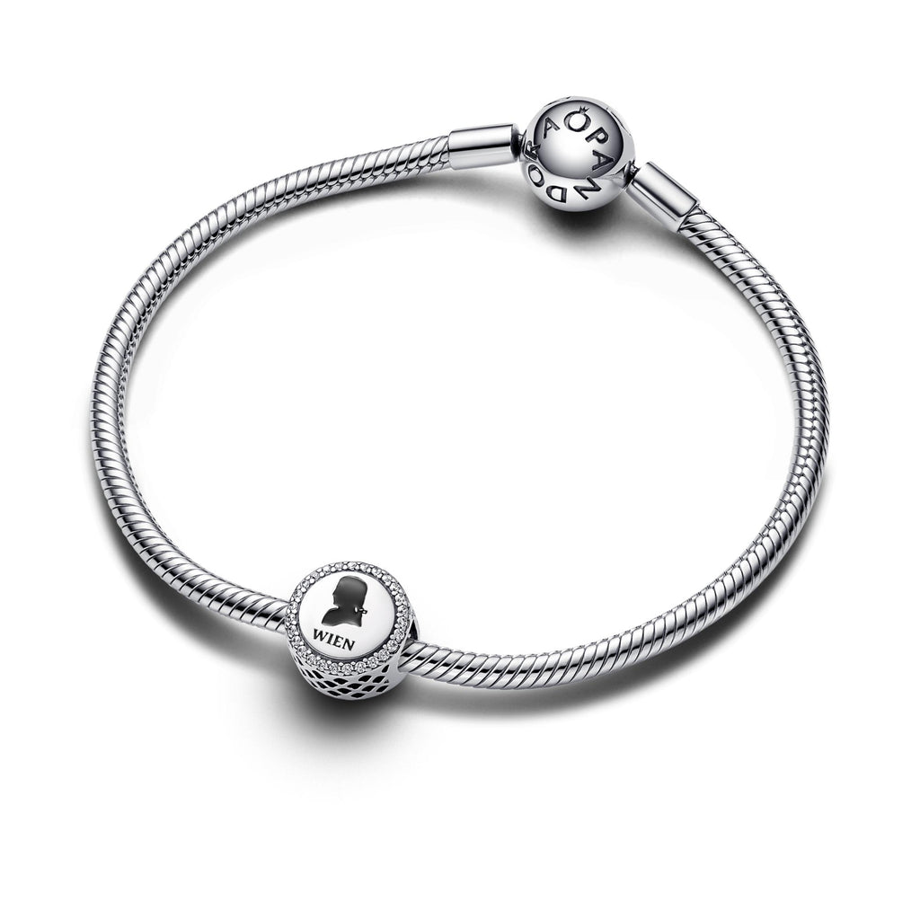 Pandora Moments Charm 792016CZ_E039