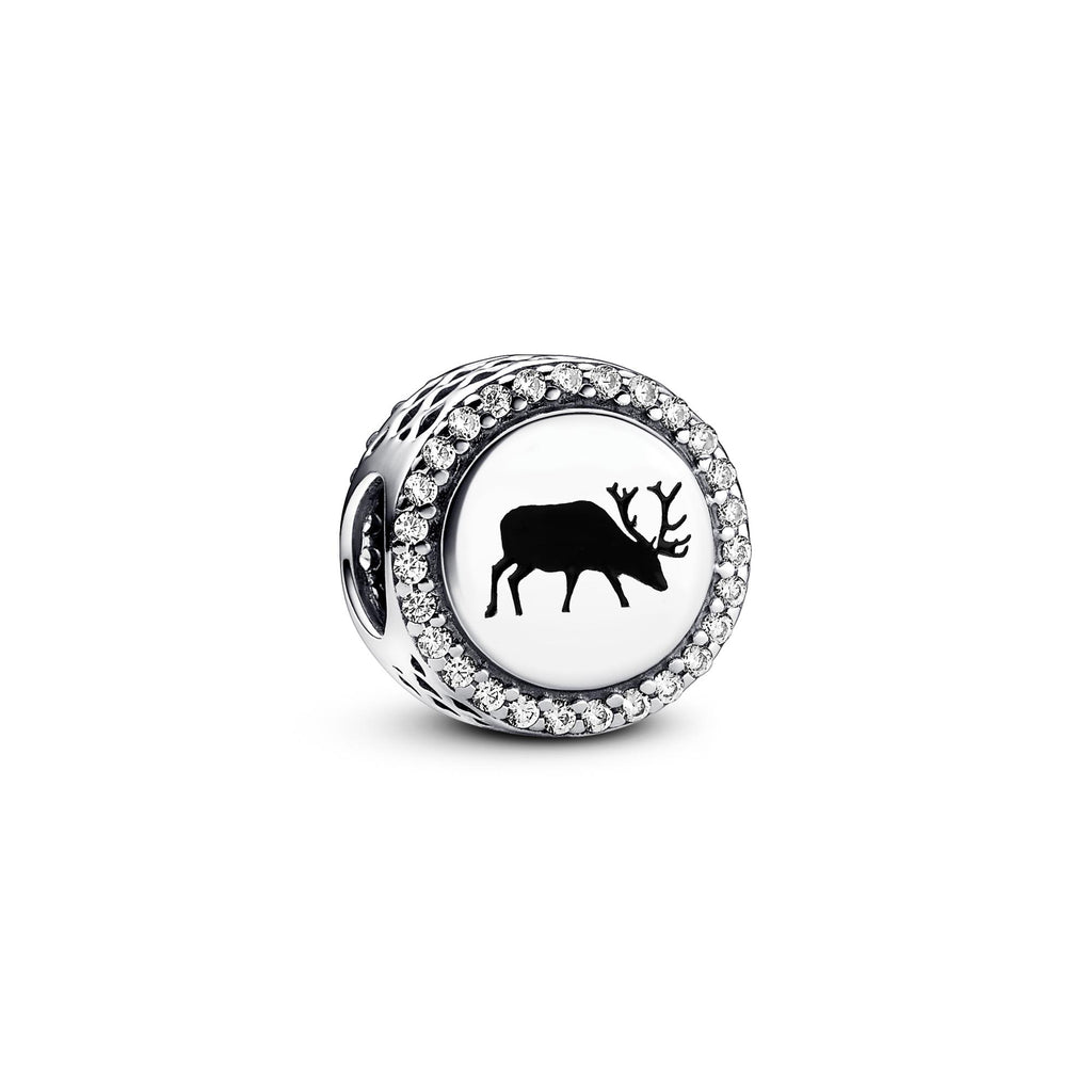 Pandora Moments Charm 792016CZ_E041