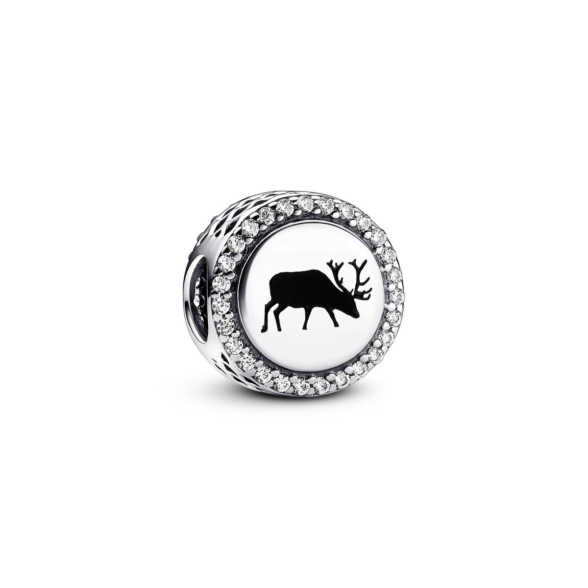 Pandora Moments Charm 792016CZ_E041