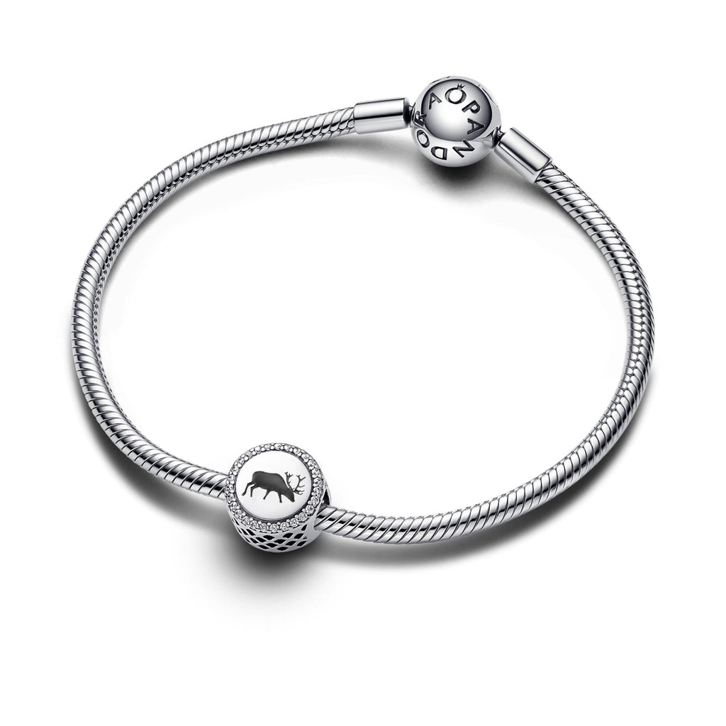 Pandora Moments Charm 792016CZ_E041