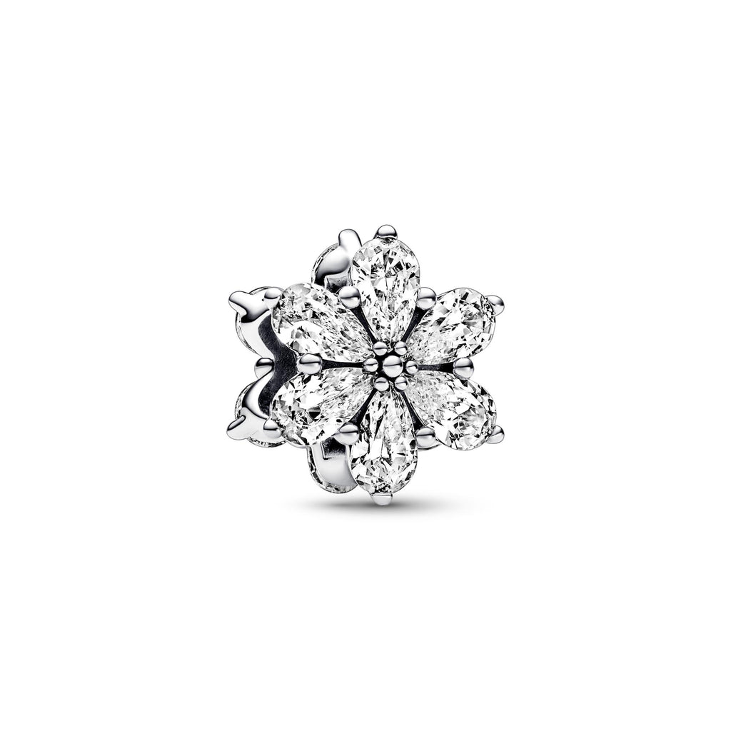 Pandora Moments Charm Herbier Scintillant 792623C01