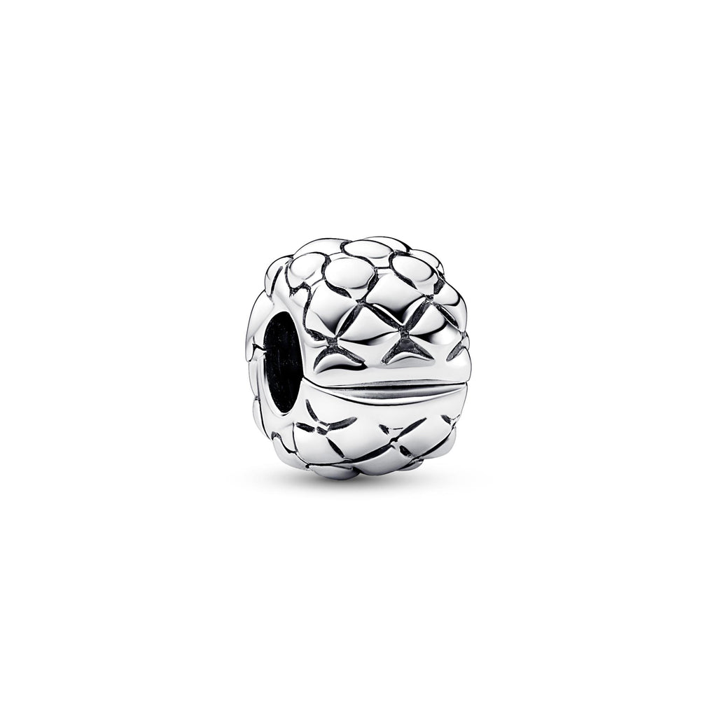 Pandora Moments Charm Clip Clouté 792746C00