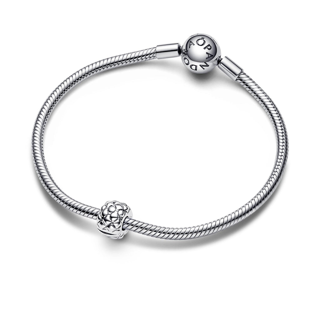 Pandora Moments Charm Clip Clouté 792746C00