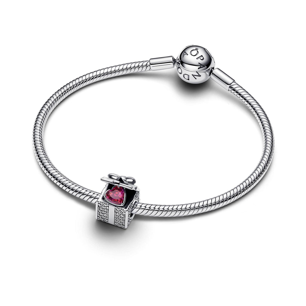 Pandora Moments Charm Boîte Cadeau Scintillante 793603C01