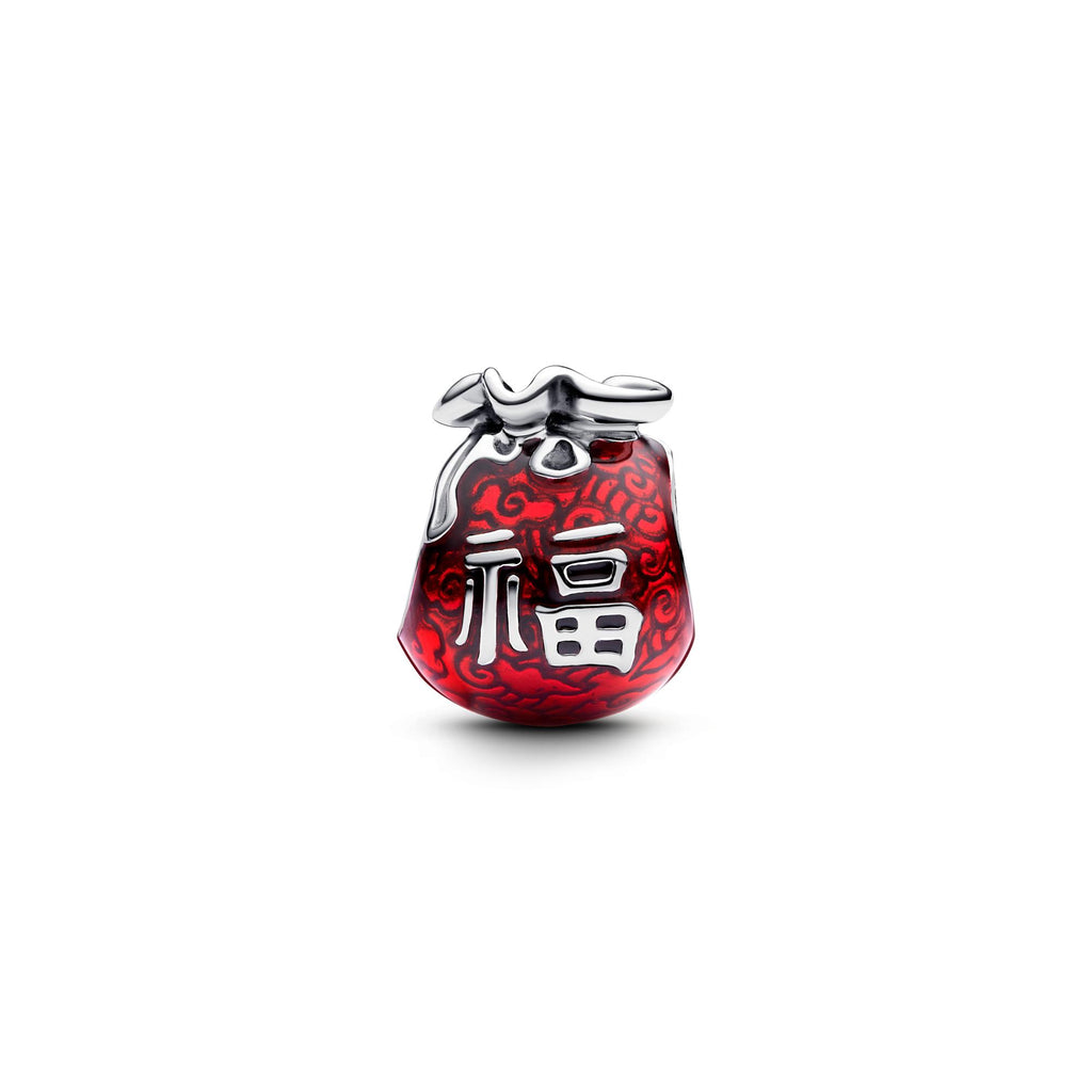 Pandora Moments Charm Sac Porte-Bonheur 793620C01
