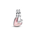 Pandora Moments Charm Pendant Séparable Mère & Fille 793766C01