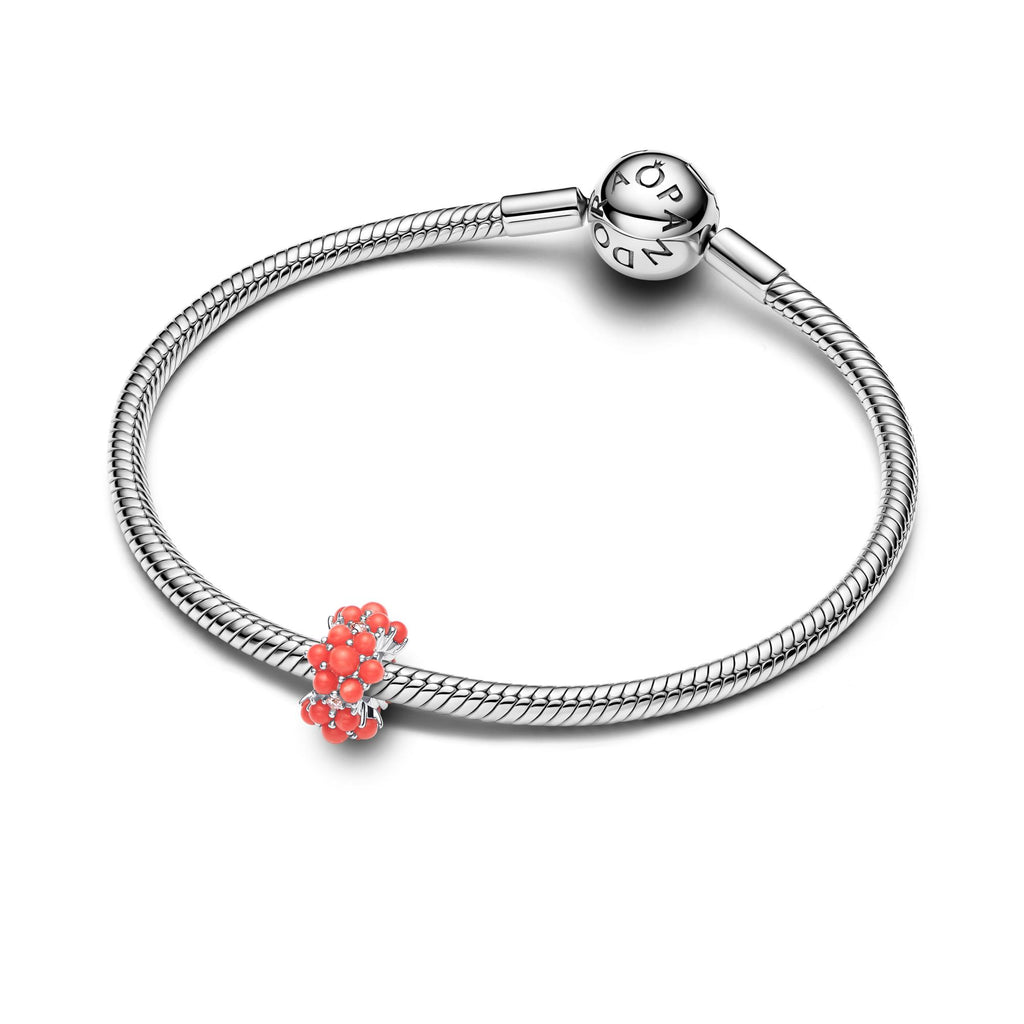 Pandora Moments Charm Océan Couleur Turquoise 793897C02