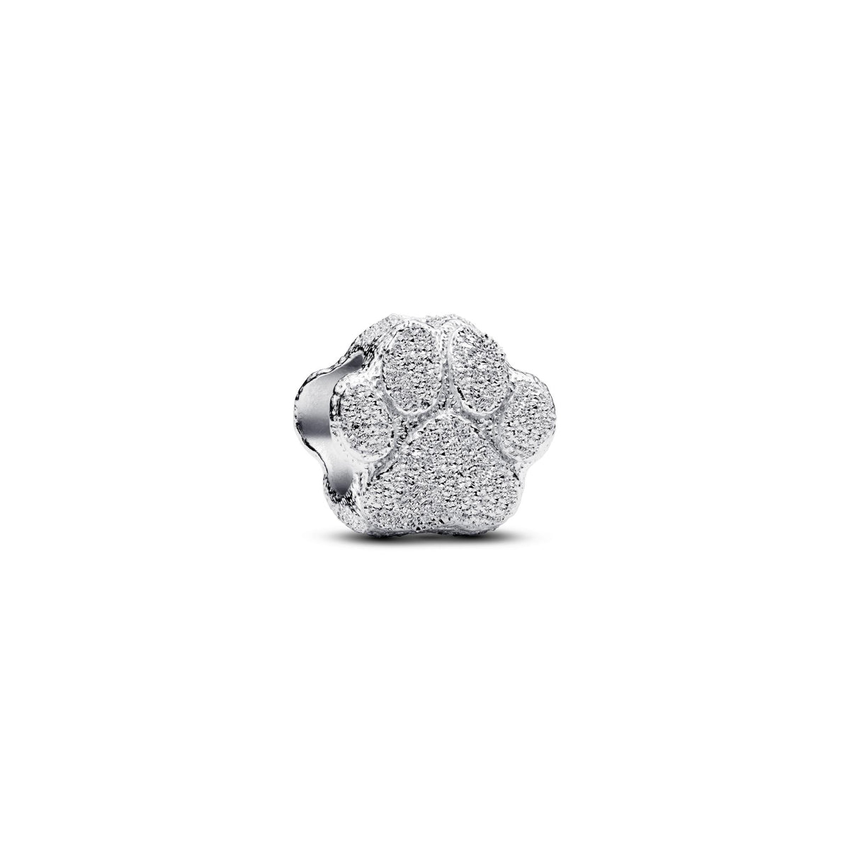 Pandora Moments Mini Charm Patte Texturé 794043C00