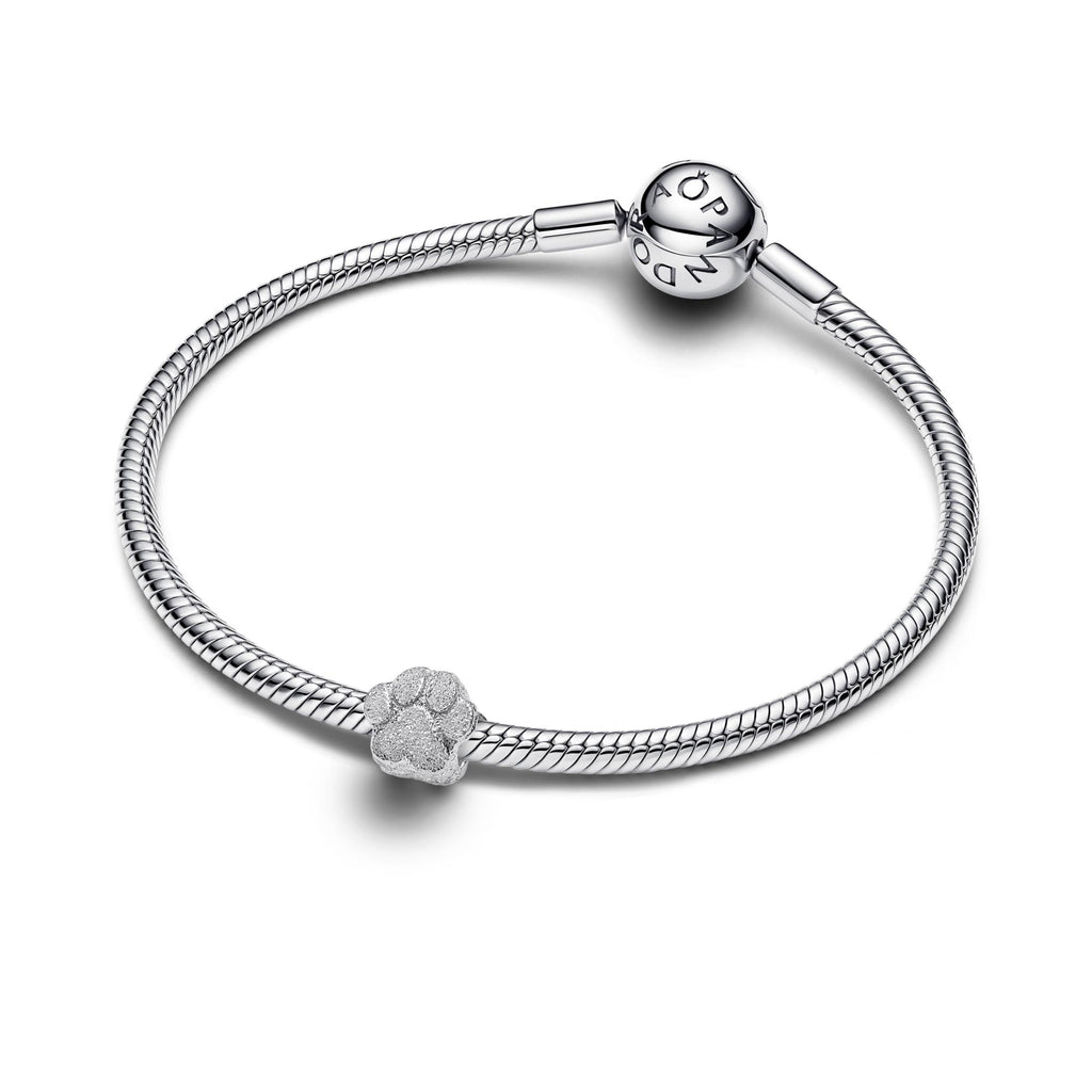 Pandora Moments Mini Charm Patte Texturé 794043C00