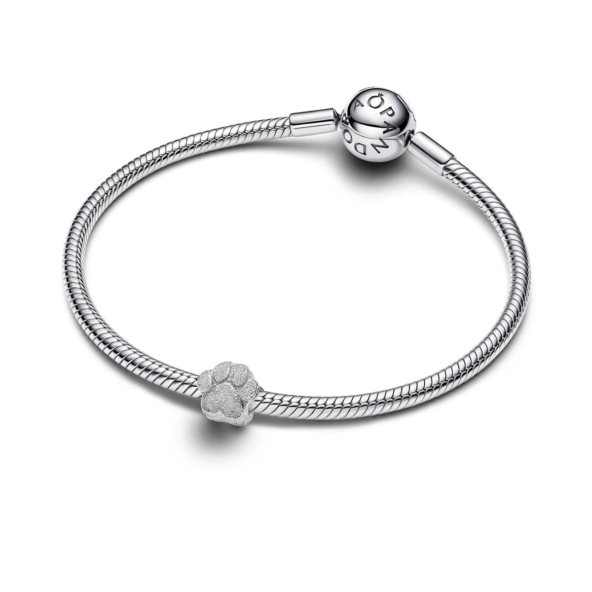 Pandora Moments Mini Charm Patte Texturé 794043C00