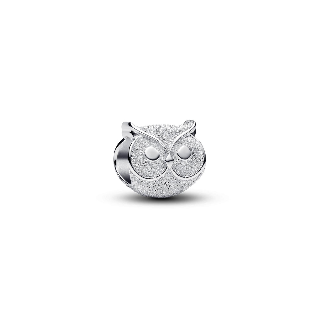 Pandora Moments Mini Charm Hibou Texturé 794525C00