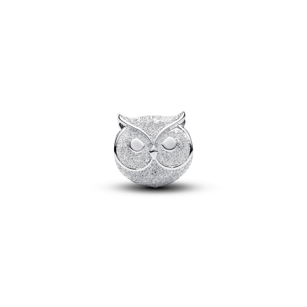 Pandora Moments Mini Charm Hibou Texturé 794525C00