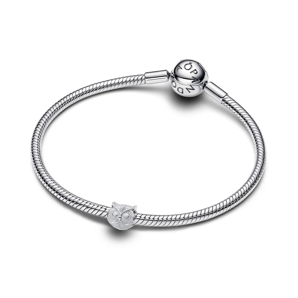Pandora Moments Mini Charm Hibou Texturé 794525C00