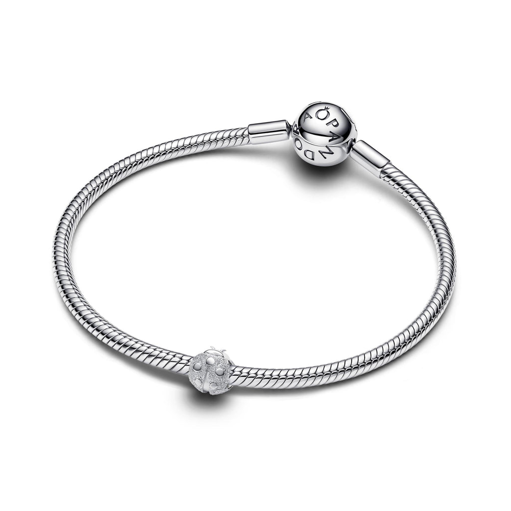 Pandora Moments Mini Charm Coccinelle Texturé 794527C00