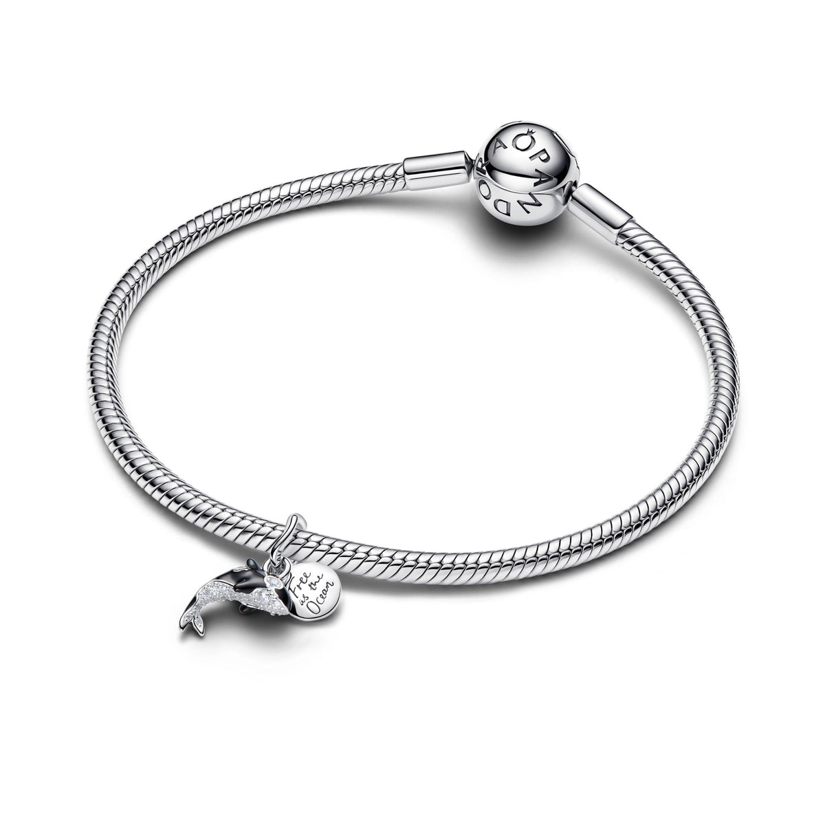 Pandora Moments Charm pendant 794683C01