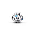 Pandora Moments Charm 794695C01