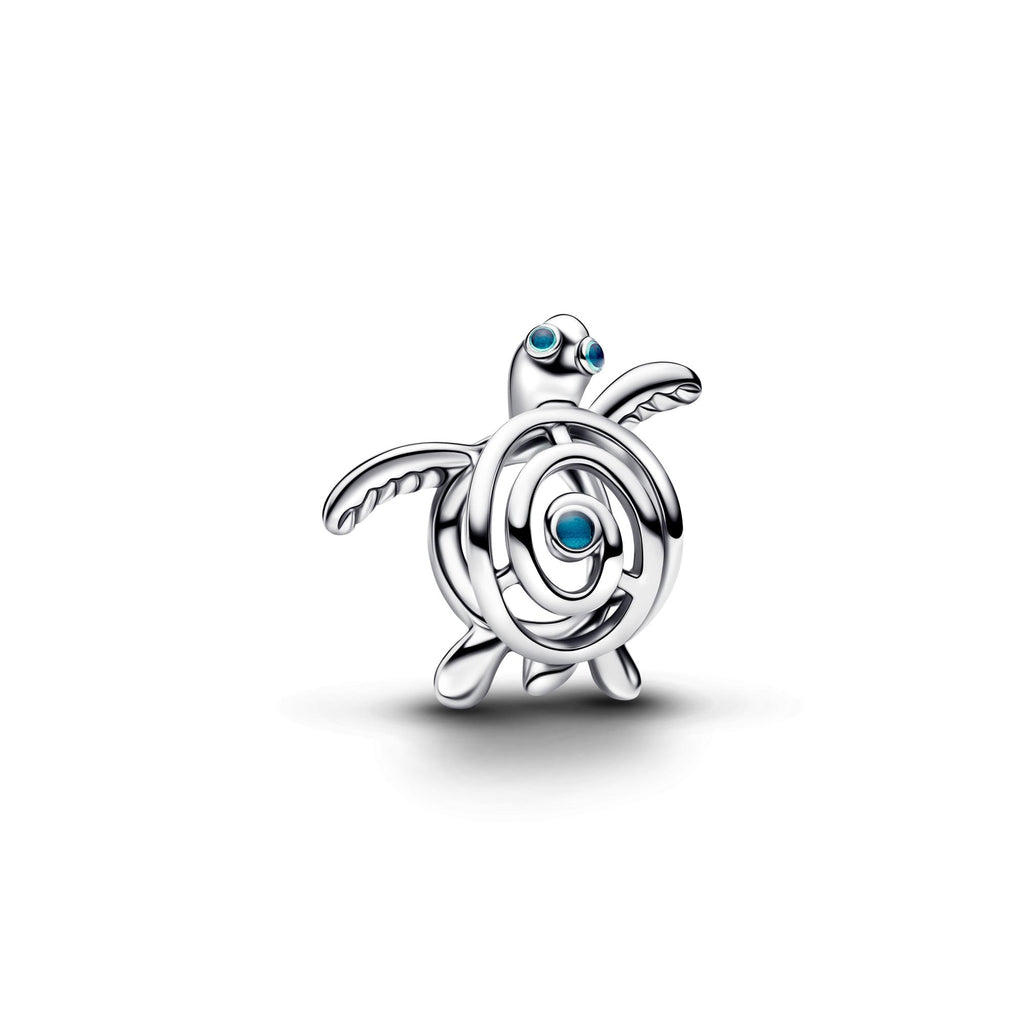 Pandora Moments Charm 794697C01