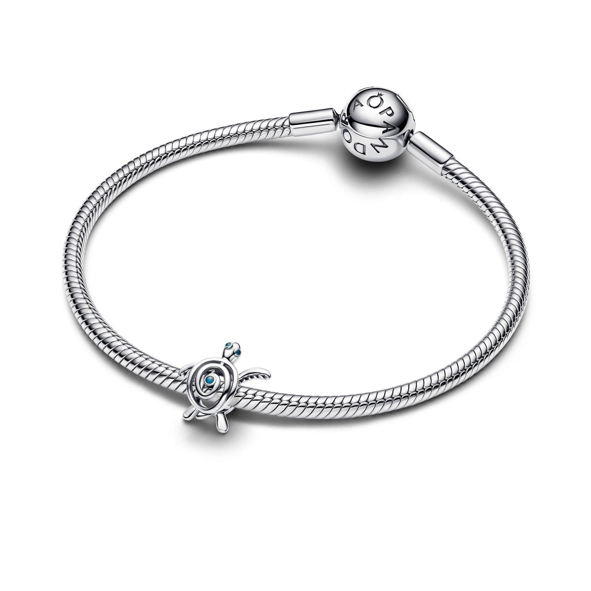 Pandora Moments Charm 794697C01