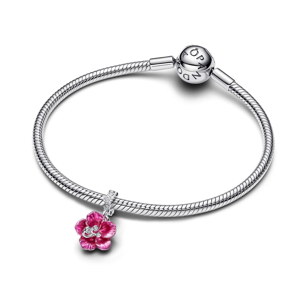 Pandora Moments Charm pendant 794698C01