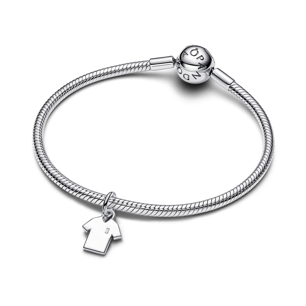 Pandora Moments Charm pendant 794708C01
