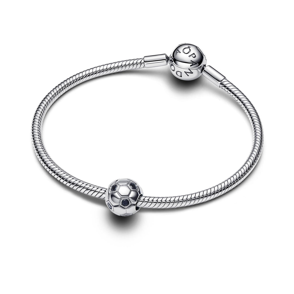 Pandora Moments Charm 794710C01