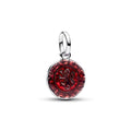 Pandora Harry Potter Médaillon 795007C01