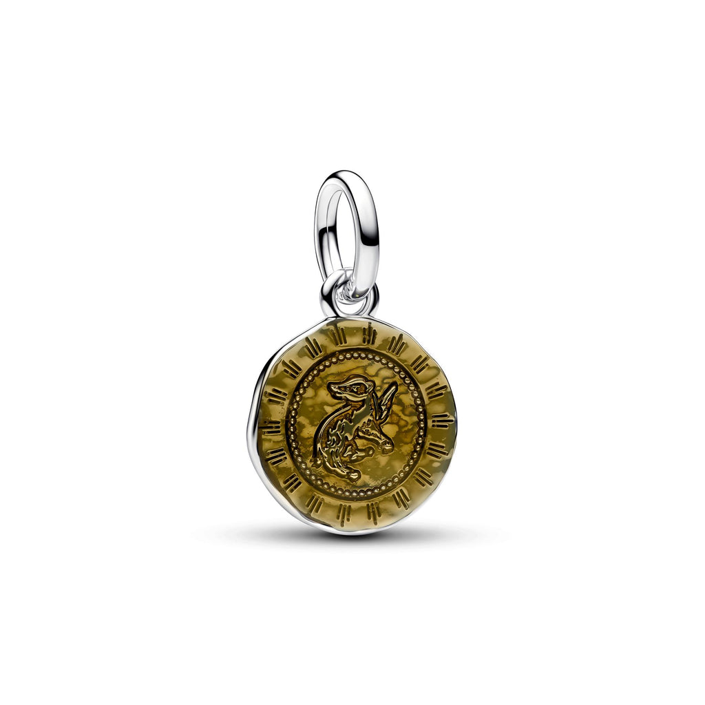 Pandora Harry Potter Médaillon 795008C01