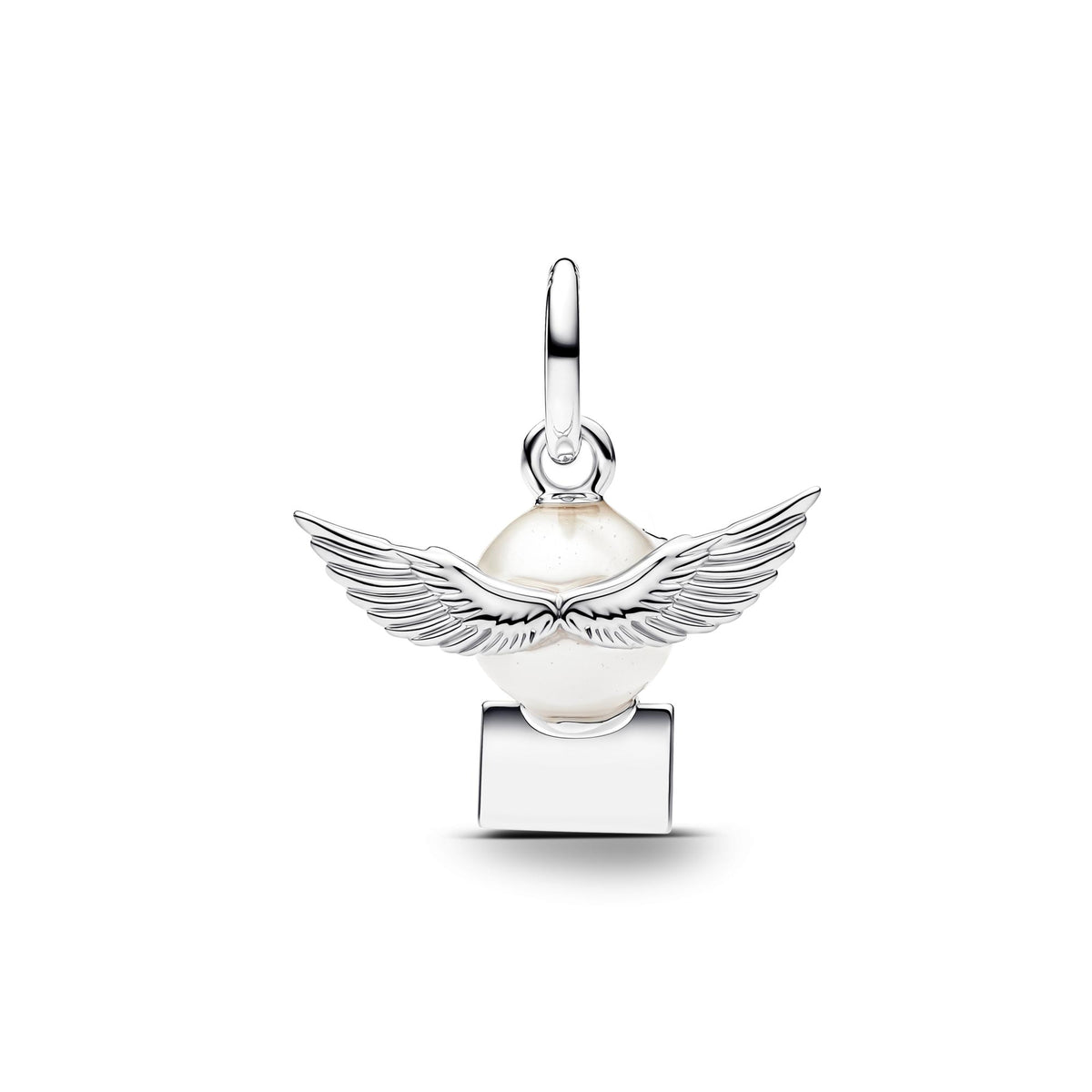 Pandora Harry Potter Charm pendant 795095C01