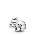 Pandora Charm 798431C01