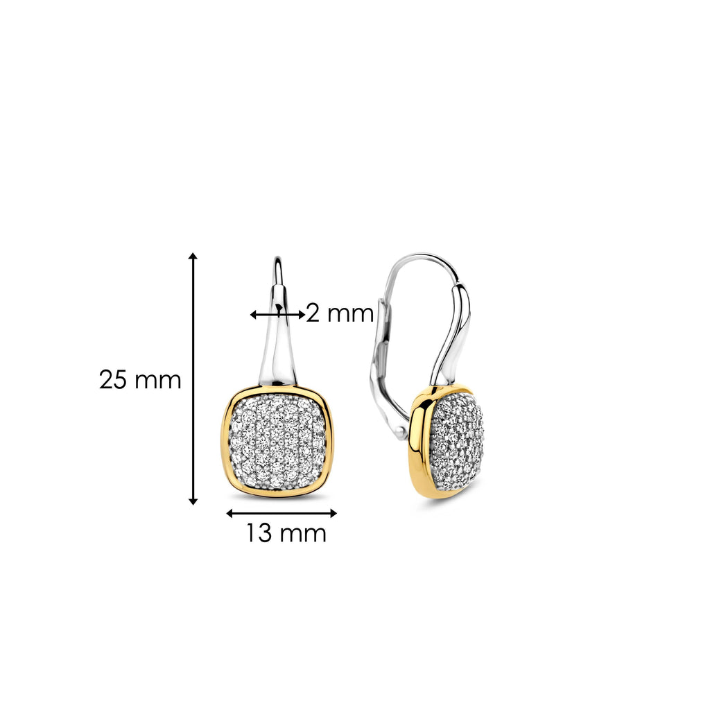 Ti Sento Milano Puces d'oreilles Coussin et rectangle 7991ZY