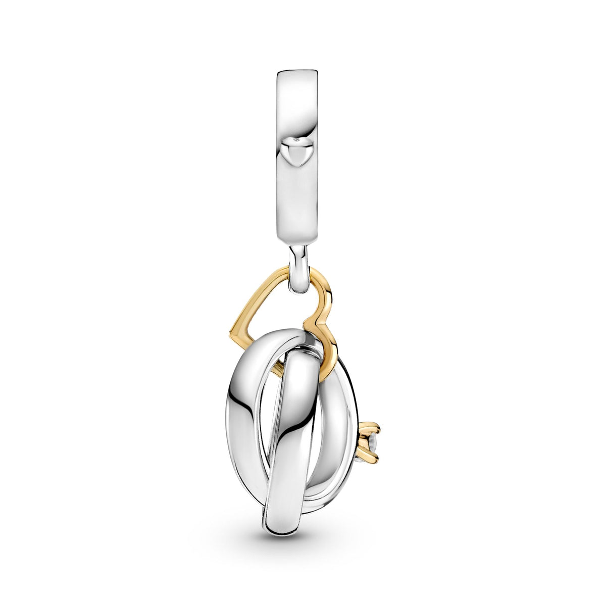 Pandora Moments Charm Pendant Alliances Bicolore 799319C01