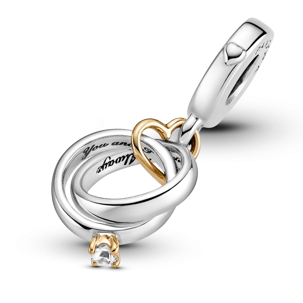 Pandora Moments Charm Pendant Alliances Bicolore 799319C01