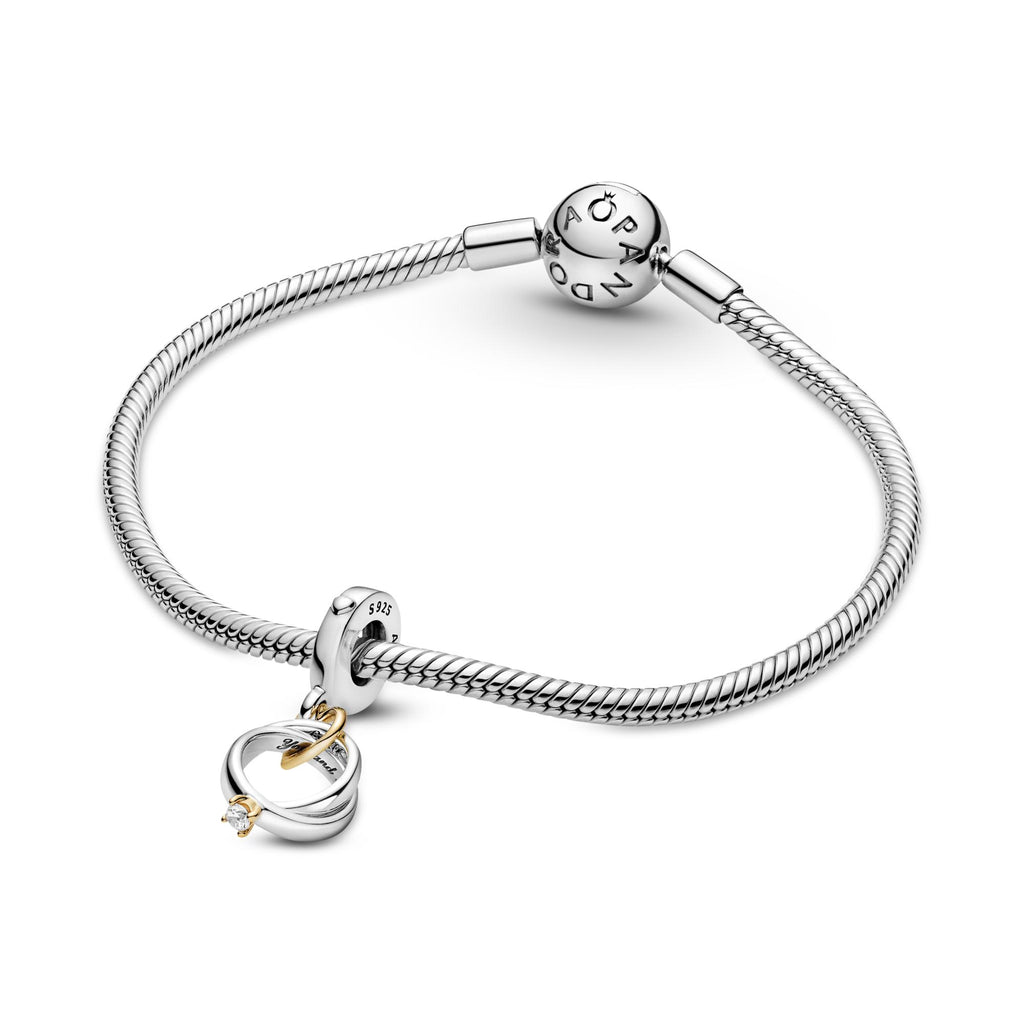 Pandora Moments Charm Pendant Alliances Bicolore 799319C01