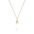 Jourdan Bijoux Collier Hélicé AJF170237N