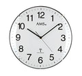 AMS F5960