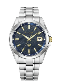The Citizen Eco-Drive With Accuracy AQ4094-58L