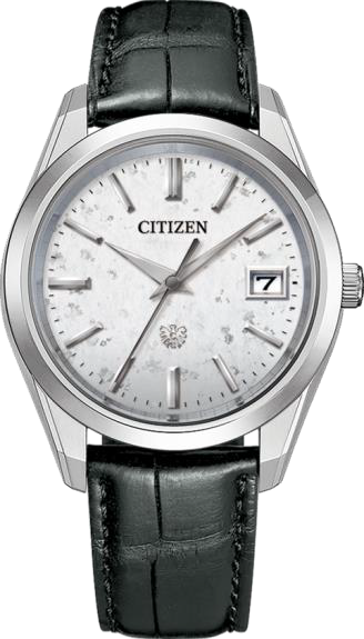 The Citizen Eco-Drive With Accuracy AQ4100-22A