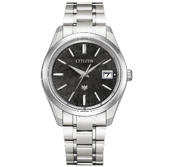 The Citizen Eco-Drive With Accuracy AQ4100-57E
