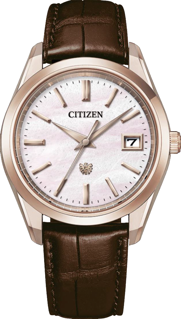 The Citizen Eco-Drive With Accuracy AQ4106-00A