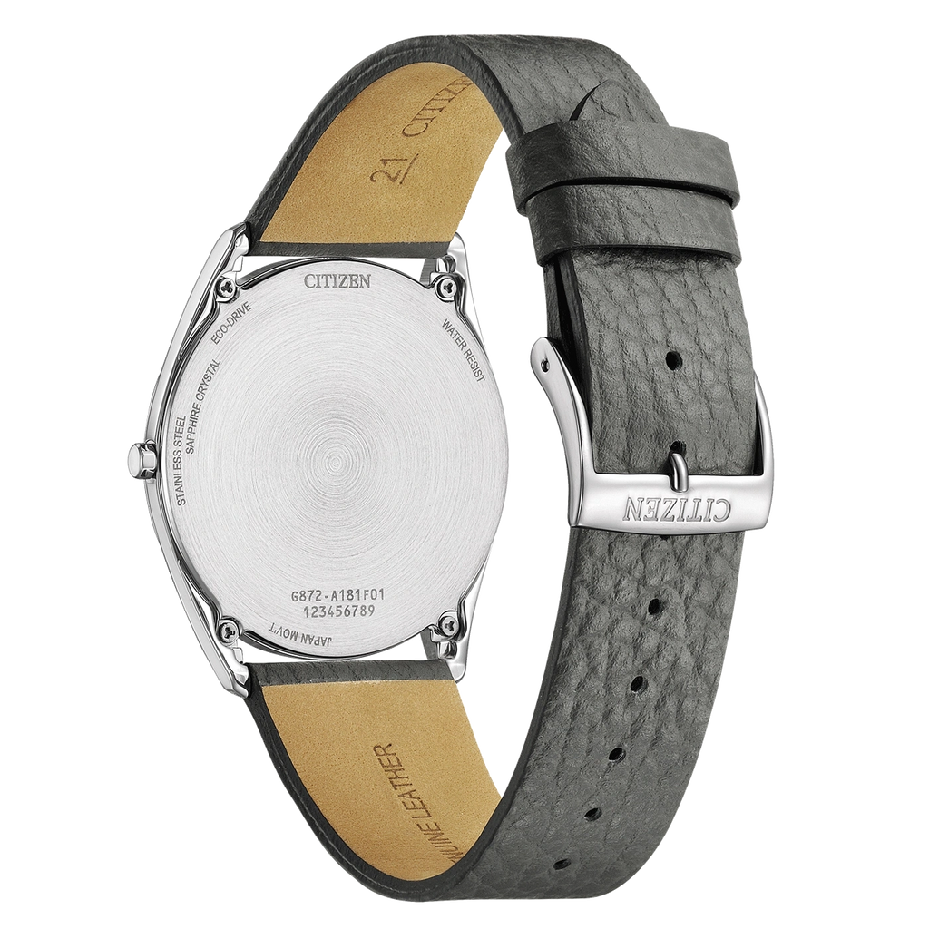 citizen-ar3120-24l