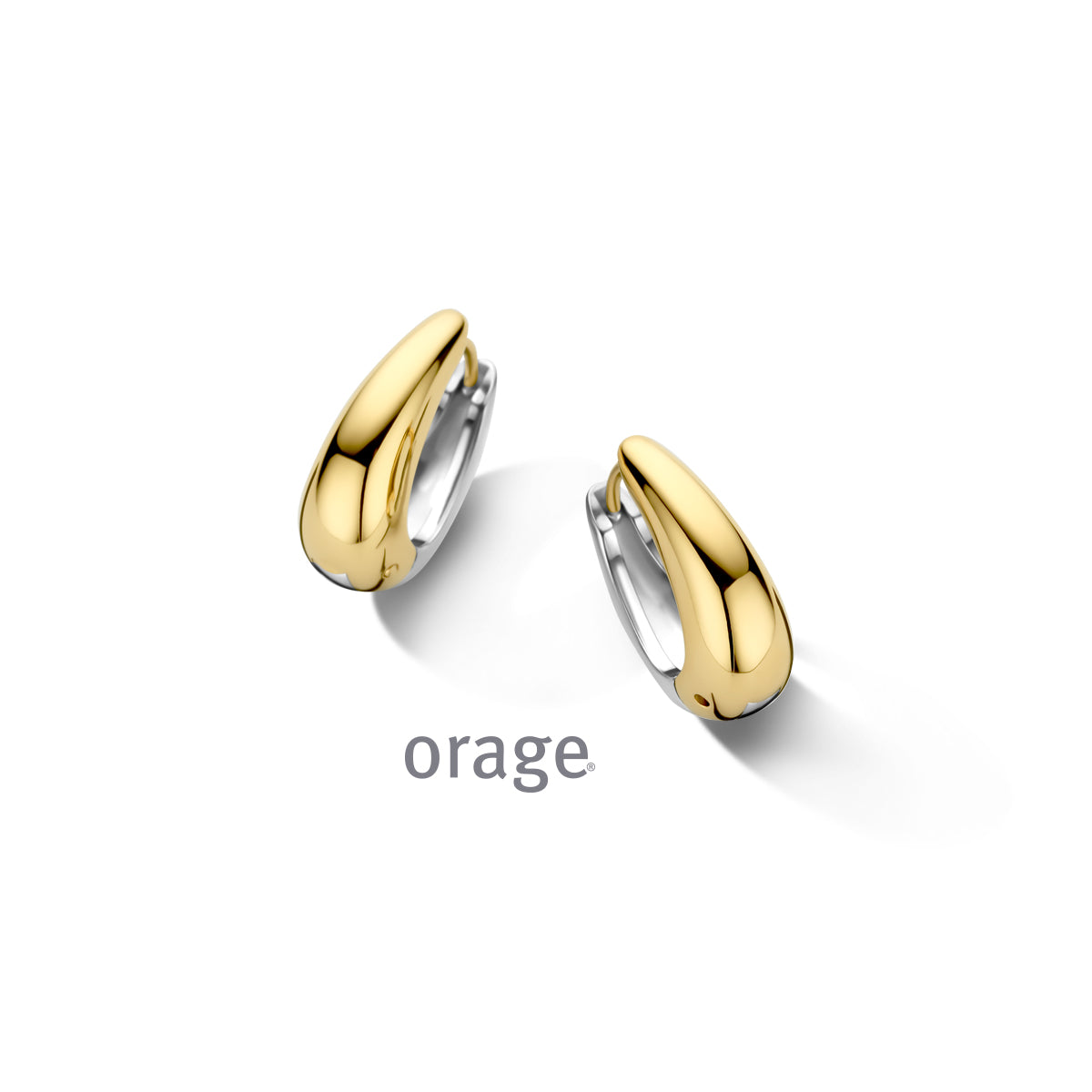 Orage Boucles d'oreilles acier bicolore BC122