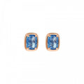 Bronzallure Studs Earrings With Stones WSBZ02464.BT