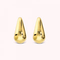 Bronzallure Polished Drops Earrings WSBZ02562Y.YG