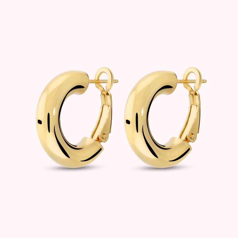 Bronzallure Earrings With Polished Buckle Sm WSBZ02652Y.YG
