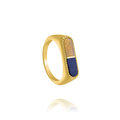 Charles Garnier Bague Styles AGF170171R