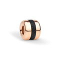 Bering Charm Arctic Symphony BELIEVE-2