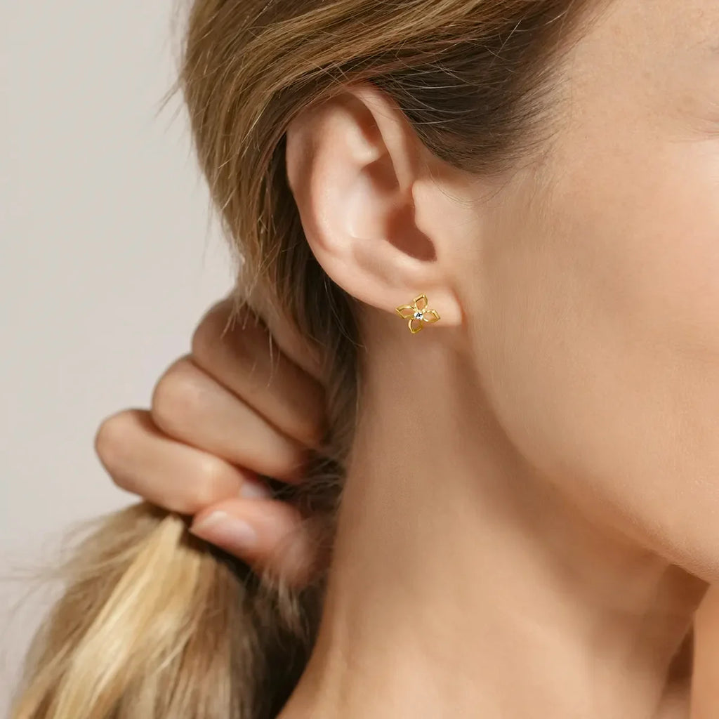Charles Garnier Boucles d'oreilles AGF170326E